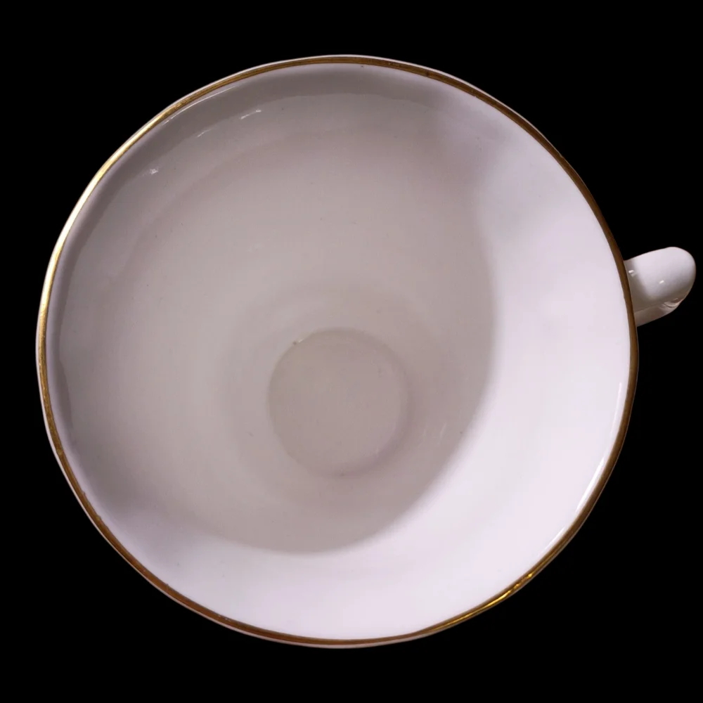 Blue Bird Fine Bone China Vintage‎ Teacup and Saucer